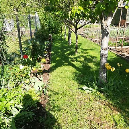 Apartment Sopar Škofja Loka Eksteriør billede