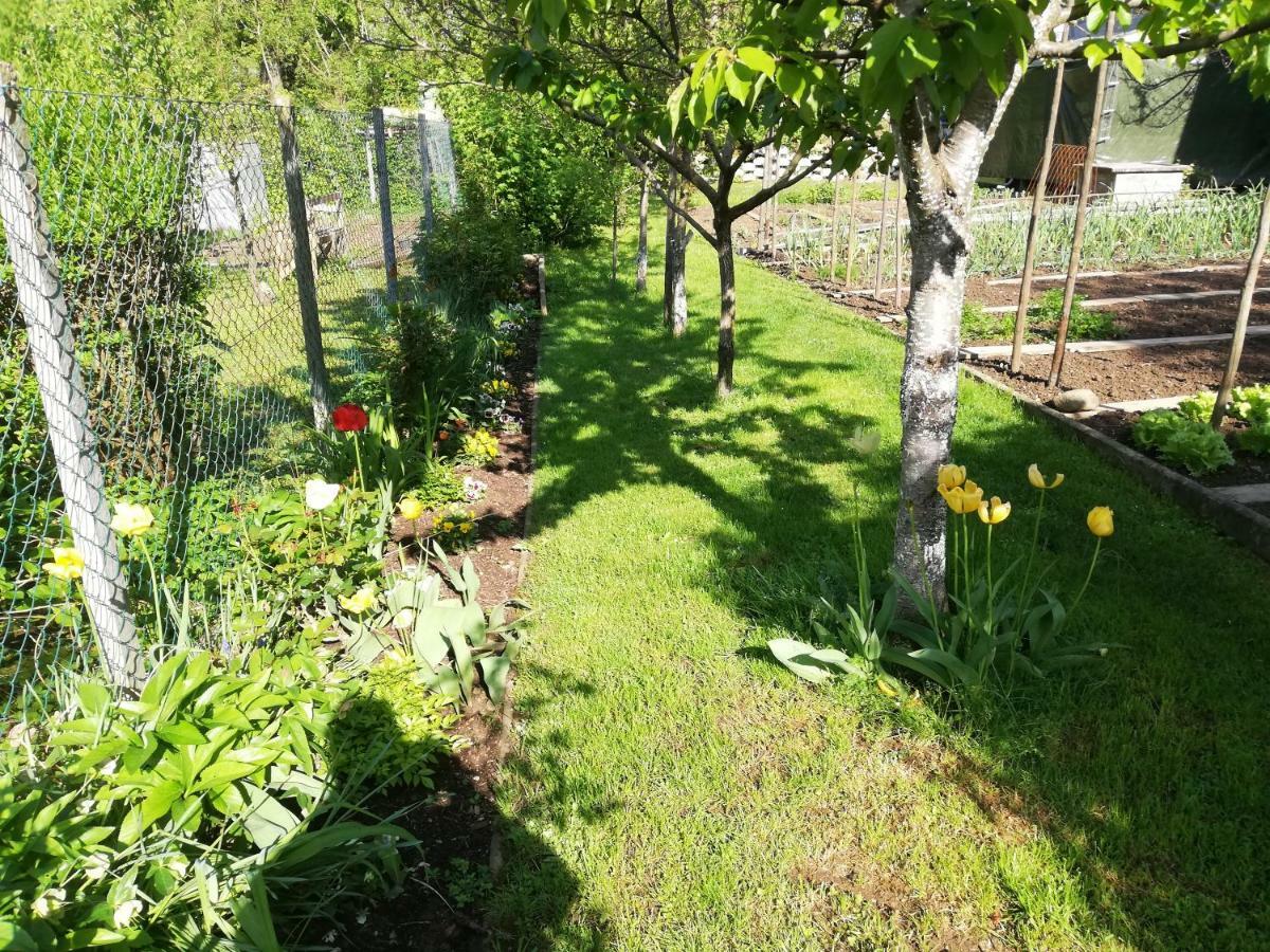 Apartment Sopar Škofja Loka Eksteriør billede